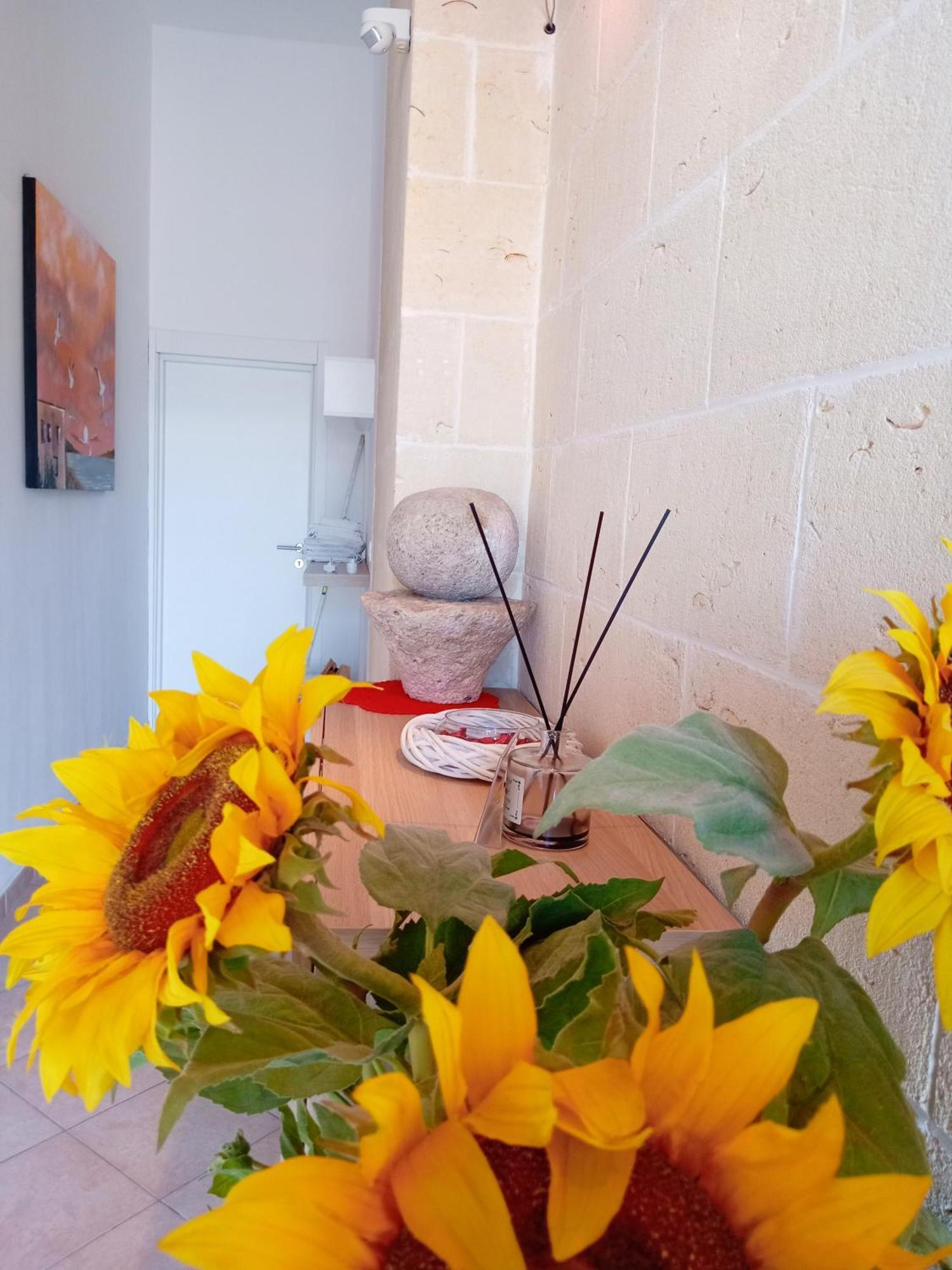 Arzeria Bed & Breakfast Cavallino di Lecce Exterior photo